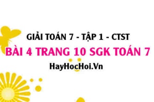 Giải bài 4 trang 10 Toán 7 Tập 1 SGK Chân trời sáng tạo